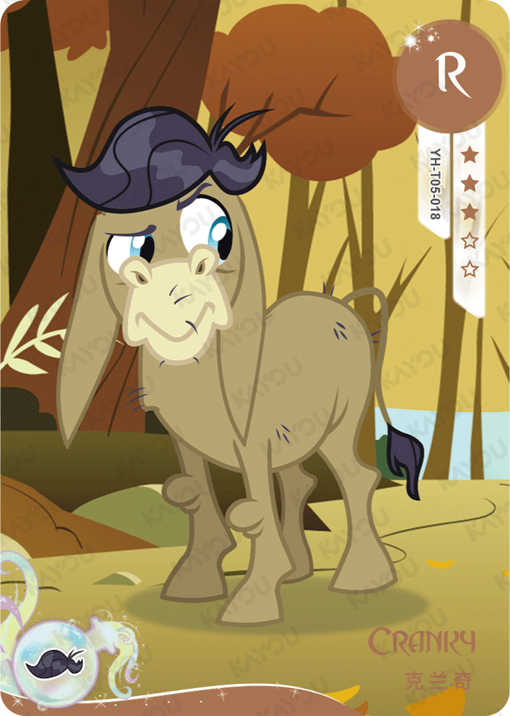 YH-T05-018 KAYOU MLP Fun Moments Edition Fun Moments 2 R bundle card